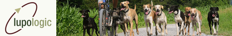 Eine Gruppe von Hunden rennt neben einem Fahrrad her, als Symbol für das Headerbild der Lupologic News