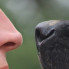Hunde-Nase riecht Menschen-Nase