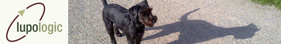 Ein Hund steht auf einem Weg und wirft einen grossen Schatten, als Symbol für das Headerbild der Lupologic Seminar-Seite