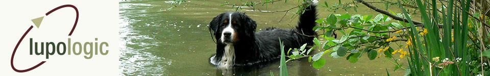 Ein Hund steht im Wasser, als Symbolbild für die Lupologic Über uns Seite.